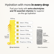 Load image into Gallery viewer, Electrolyte Recovery Plus Powder (Sugar-Free) - DON GREAT