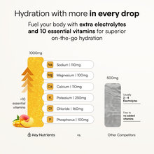 Load image into Gallery viewer, Electrolyte Recovery Plus Powder (Sugar-Free) - DON GREAT