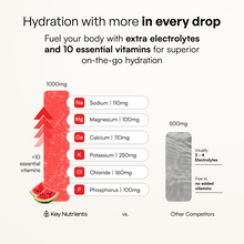 Load image into Gallery viewer, Electrolyte Recovery Plus Powder (Sugar-Free) - DON GREAT