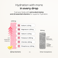 Load image into Gallery viewer, Electrolyte Recovery Plus Powder (Sugar-Free) - DON GREAT