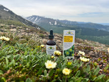 Load image into Gallery viewer, Rhodiola Rosea Tincture – Natural Stress & Energy Support (2 oz) - DON GREAT