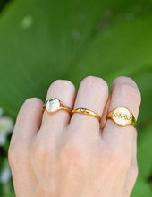 Load image into Gallery viewer, Wildflower Signet Ring