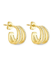 Load image into Gallery viewer, Neve Micro Hoop Earrings