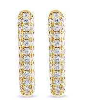 Load image into Gallery viewer, Francesca CZ Rectangular Hoop Earrings