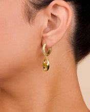 Load image into Gallery viewer, Bliss CZ Anchor Chain Micro Hoop Earrings