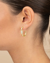 Load image into Gallery viewer, Oval Carabiner Hoops