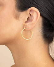 Load image into Gallery viewer, Daria Double Row Hoop Earrings