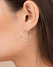 Load image into Gallery viewer, Sterling Silver Hoop Earrings