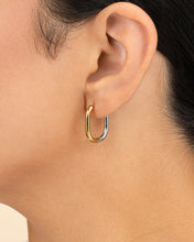 Load image into Gallery viewer, Dafne Dual Tone Oval Hoops