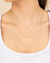 Load image into Gallery viewer, Sterling Silver Janina Delicate Twisted Chain Necklace