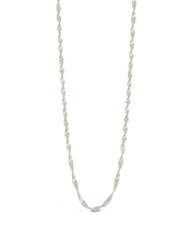 Load image into Gallery viewer, Blakely Chain Necklace