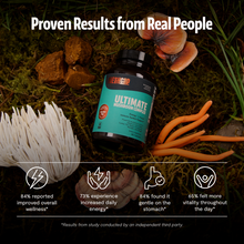 Load image into Gallery viewer, Organic Mushroom Complex Supplement Capsules - DON GREAT