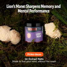 Load image into Gallery viewer, Organic Mushroom Complex Supplement Capsules - DON GREAT