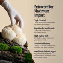 Load image into Gallery viewer, Organic Mushroom Complex Supplement Capsules - DON GREAT