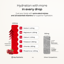 Load image into Gallery viewer, Electrolyte Recovery Plus Powder (Sugar-Free) - DON GREAT
