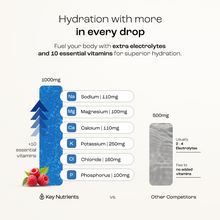 Load image into Gallery viewer, Electrolyte Recovery Plus Powder (Sugar-Free) - DON GREAT
