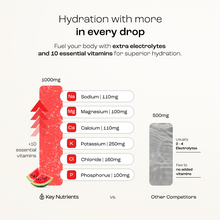 Load image into Gallery viewer, Electrolyte Recovery Plus Powder (Sugar-Free) - DON GREAT
