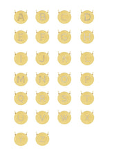 Load image into Gallery viewer, 14K Gold Plated Sterling Silver CZ Round Initial Necklace
