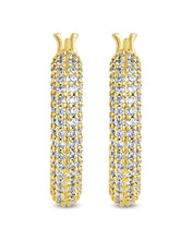 Load image into Gallery viewer, Cordelia CZ Studded Hoop Earrings
