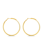 Load image into Gallery viewer, Leona Polished Hoop Earrings
