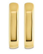 Load image into Gallery viewer, Annika Polished Micro Hoop Earrings
