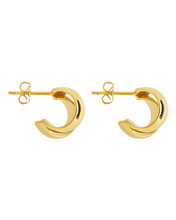 Load image into Gallery viewer, Tamara Double Row Huggie Hoop Earrings

