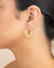 Load image into Gallery viewer, Delia Textured Hoop Earrings
