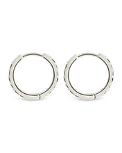 Load image into Gallery viewer, Zadie CZ Everyday Hoop Earrings

