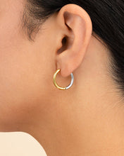 Load image into Gallery viewer, Cinzia Dual Tone Thin Micro Hoops
