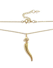 Load image into Gallery viewer, Italian Horn Necklace: silver or gold
