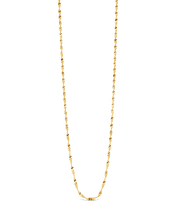 Load image into Gallery viewer, Blakely Chain Necklace
