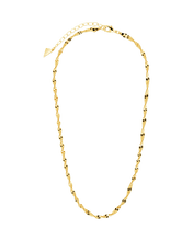 Load image into Gallery viewer, Blakely Chain Necklace
