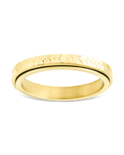 Load image into Gallery viewer, Textured Spinner Ring
