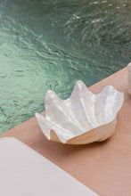 Load image into Gallery viewer, Clam Shell Bowl
