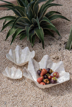 Load image into Gallery viewer, Clam Shell Bowl
