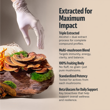 Load image into Gallery viewer, Organic Mushroom Complex Supplement Capsules - DON GREAT
