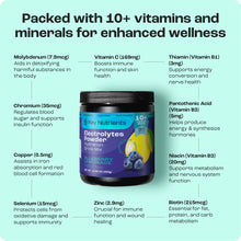Load image into Gallery viewer, Electrolyte Recovery Plus Powder (Sugar-Free) - DON GREAT
