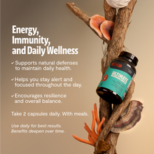 Load image into Gallery viewer, Organic Mushroom Complex Supplement Capsules - DON GREAT
