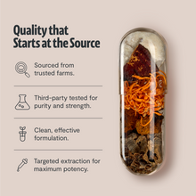 Load image into Gallery viewer, Organic Mushroom Complex Supplement Capsules - DON GREAT
