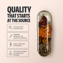 Load image into Gallery viewer, Organic Mushroom Complex Supplement Capsules - DON GREAT
