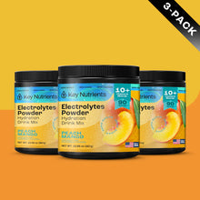 Load image into Gallery viewer, Electrolyte Recovery Plus Powder (Sugar-Free) - DON GREAT
