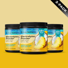 Load image into Gallery viewer, Electrolyte Recovery Plus Powder (Sugar-Free) - DON GREAT
